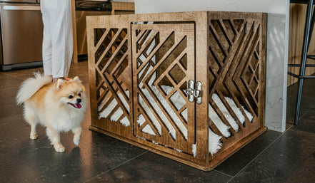 Morocco Dog Crate