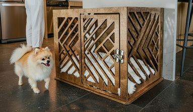 Morocco Dog Crate